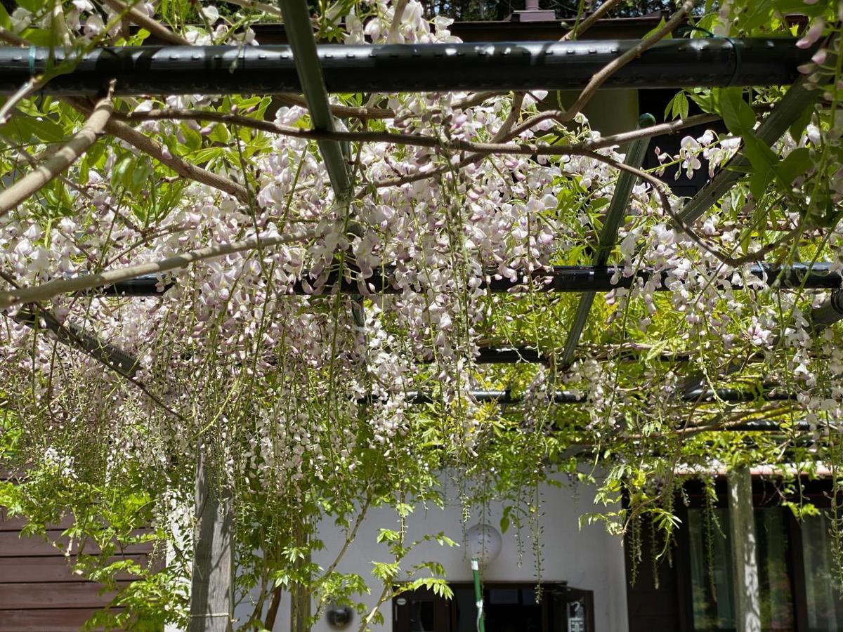 Pension Lanpou Fujikawaguchiko Exterior photo